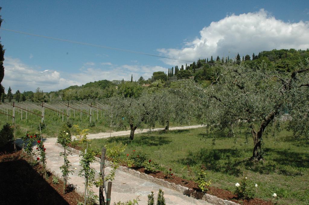 Agriturismo Tenuta La Pergola バルドリーノ エクステリア 写真