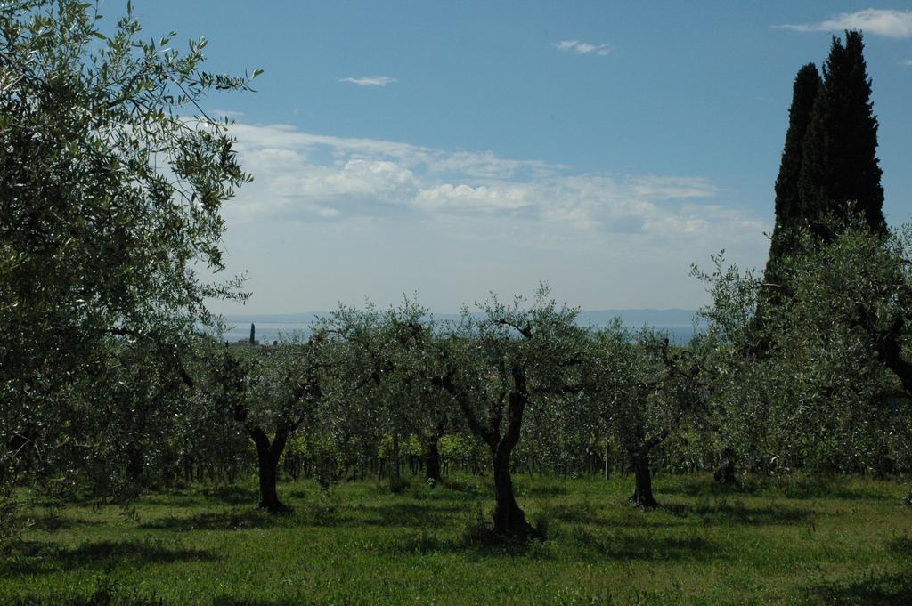 Agriturismo Tenuta La Pergola バルドリーノ エクステリア 写真