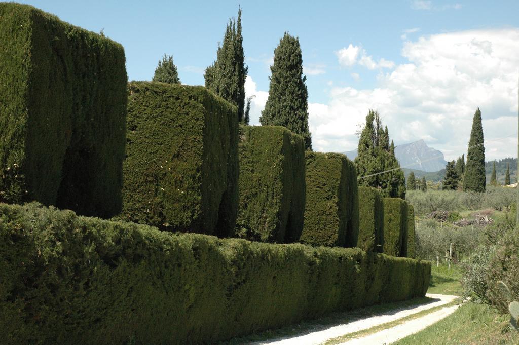 Agriturismo Tenuta La Pergola バルドリーノ エクステリア 写真