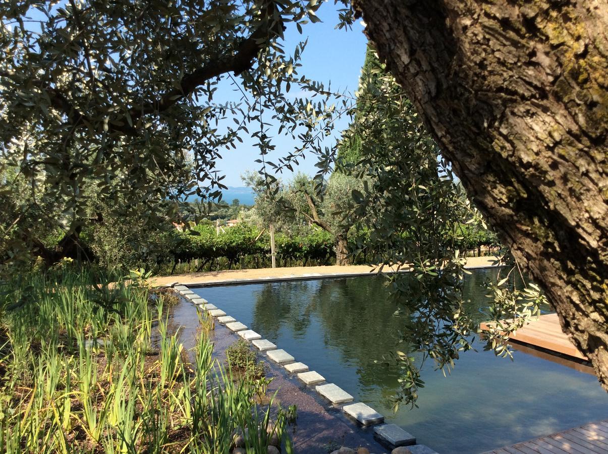 Agriturismo Tenuta La Pergola バルドリーノ エクステリア 写真